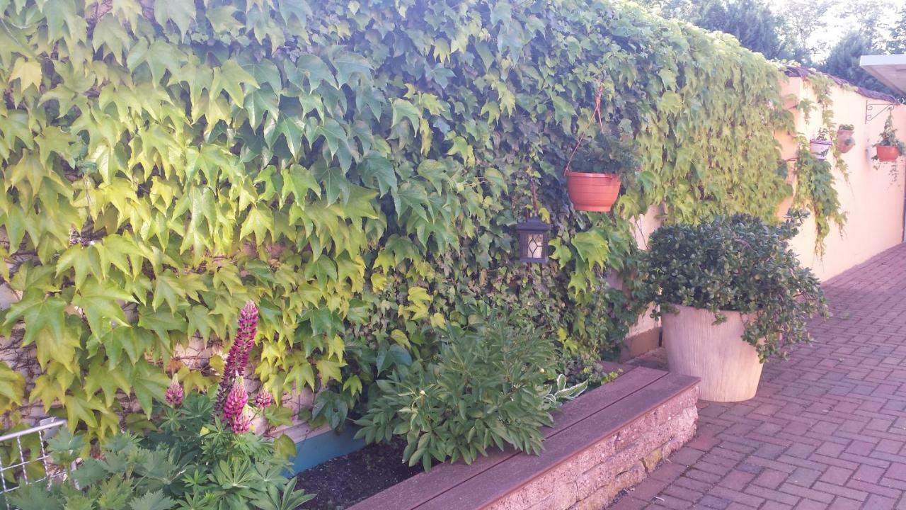 Apartment Kleines Zuhause *