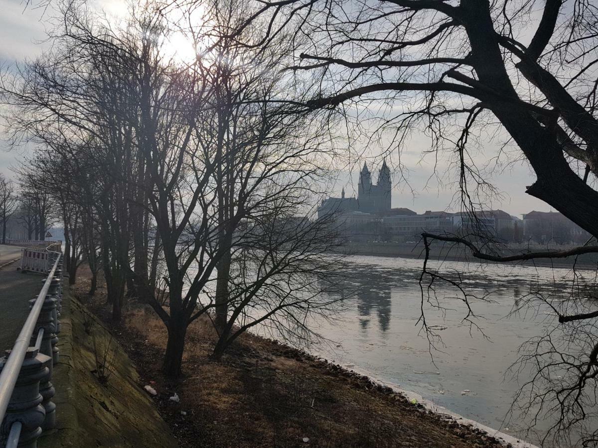 Kleines Zuhause * Magdeburg